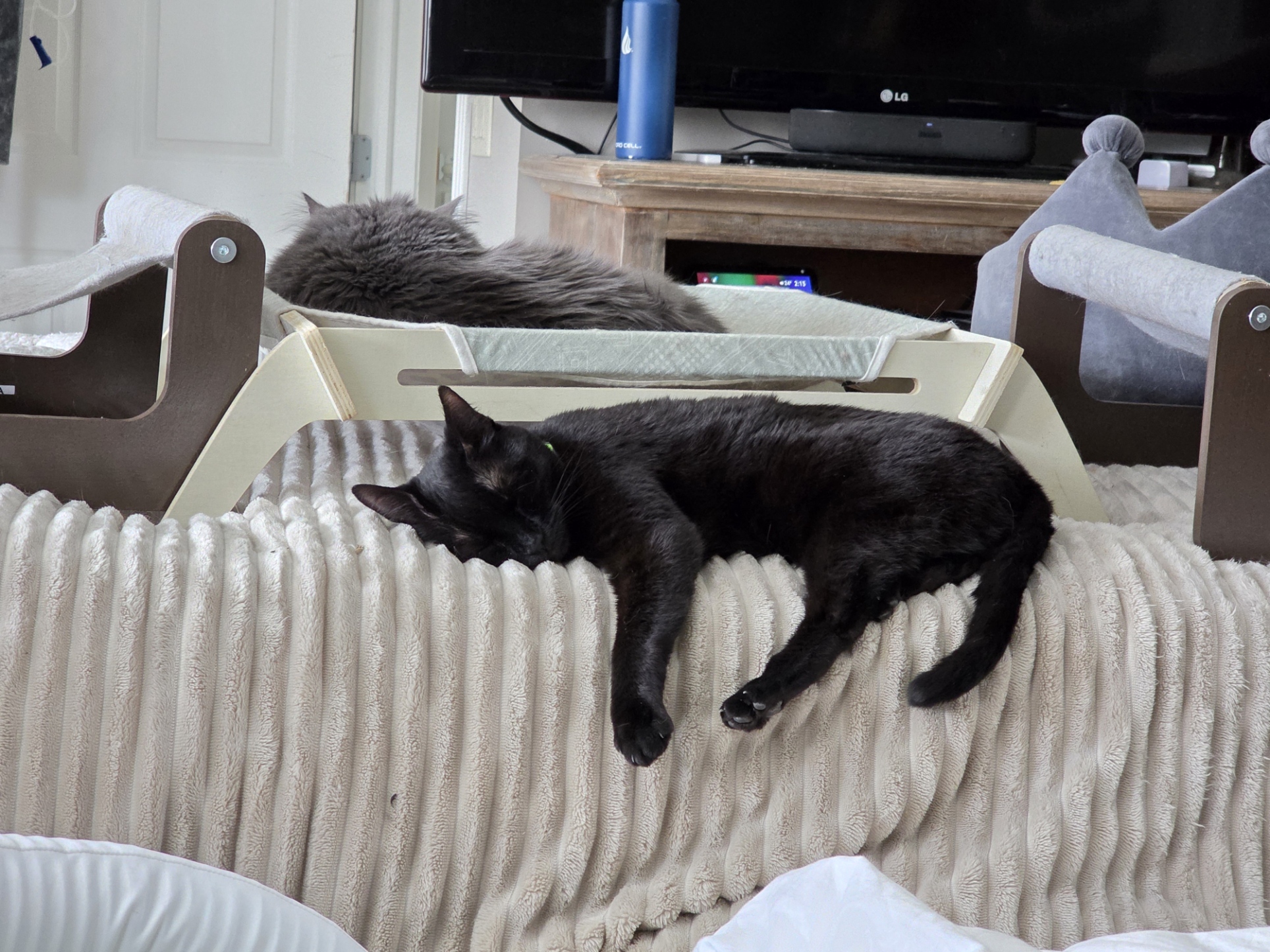 Niffles and Harold