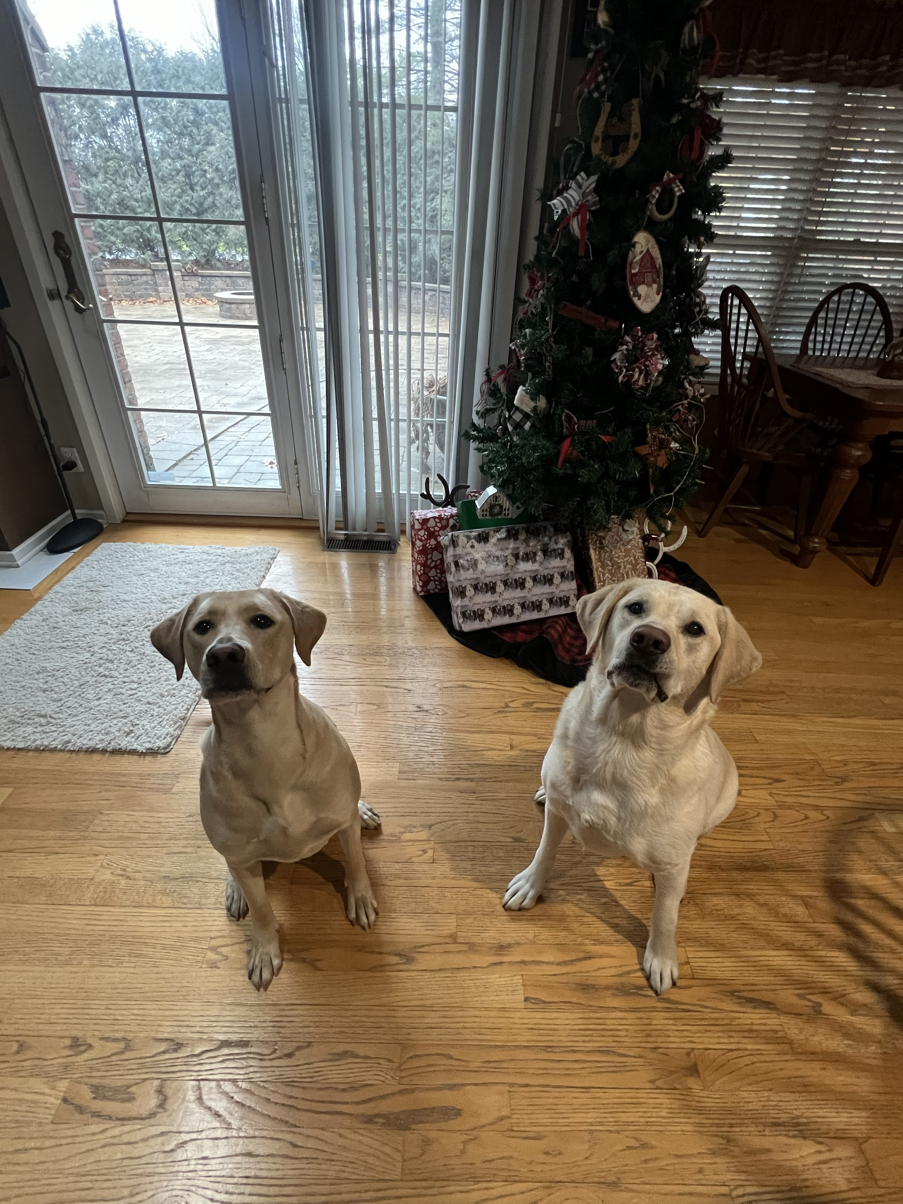 Boo and Kacey